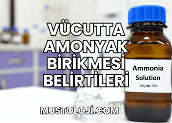 Vücutta Amonyak Birikmesi Belirtileri