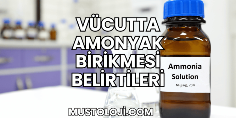 Vücutta Amonyak Birikmesi Belirtileri