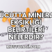 Vücutta Mineral Eksikliği Belirtileri Nelerdir?