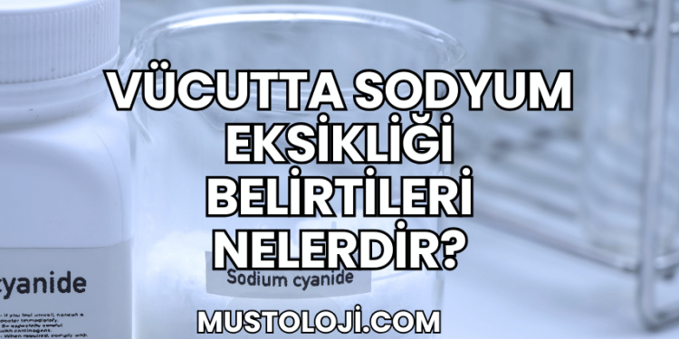 Vücutta Sodyum Eksikliği Belirtileri Nelerdir?
