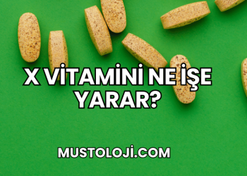 X Vitamini Ne İşe Yarar?