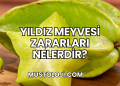 Yıldız Meyvesi Zararları Nelerdir?