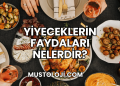 Yiyeceklerin Faydaları Nelerdir?
