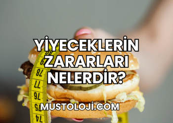 Yiyeceklerin Zararları Nelerdir?