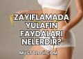Zayıflamada Yulafın Faydaları Nelerdir?