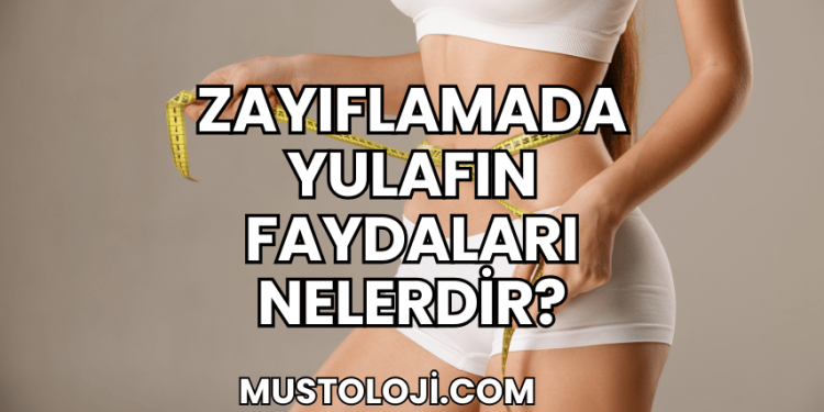 Zayıflamada Yulafın Faydaları Nelerdir?
