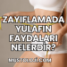 Zayıflamada Yulafın Faydaları Nelerdir?
