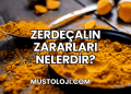 Zerdeçalın Zararları Nelerdir?