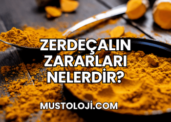 Zerdeçalın Zararları Nelerdir?
