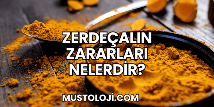 Zerdeçalın Zararları Nelerdir?