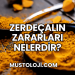 Zerdeçalın Zararları Nelerdir?