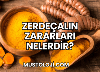 Zerdeçalın Zararları Nelerdir?