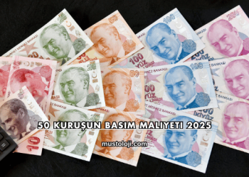 50 Kuruşun Basım Maliyeti 2025