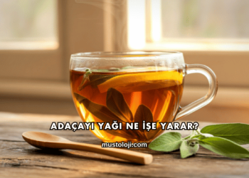 Adaçayı Yağı Ne İşe Yarar?