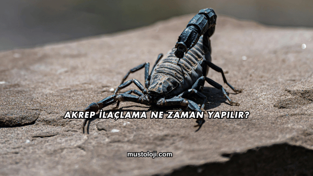 Akrep İlaçlama Ne Zaman Yapılır?
