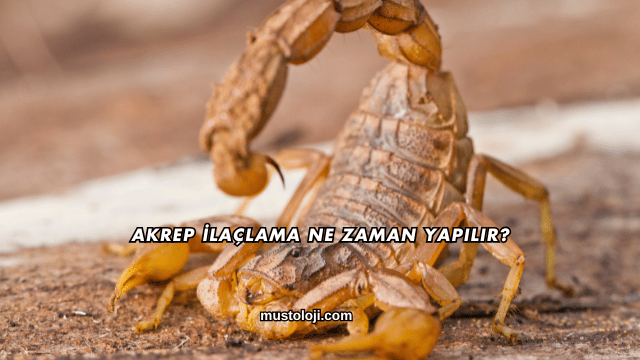Akrep İlaçlama Ne Zaman Yapılır?