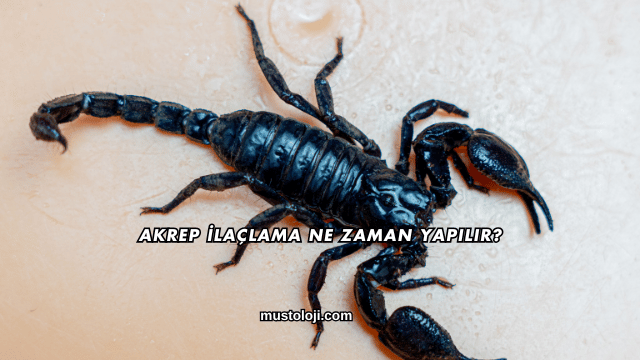 Akrep İlaçlama Ne Zaman Yapılır?