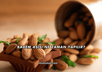 Badem Aşısı Ne Zaman Yapılır?