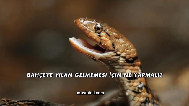 Bahçeye Yılan Gelmemesi İçin Ne Yapmalı?