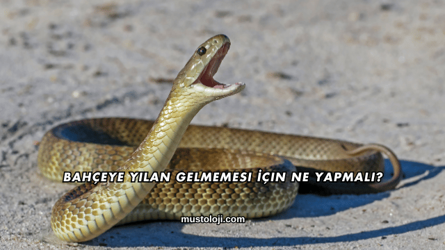 Bahçeye Yılan Gelmemesi İçin Ne Yapmalı?