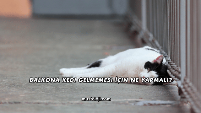 Balkona Kedi Gelmemesi İçin Ne Yapmalı?