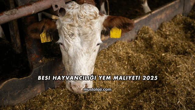 Besi Hayvancılığı Yem Maliyeti 2025