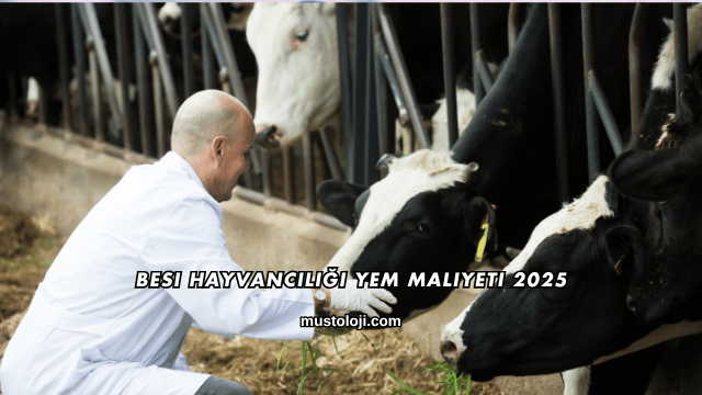 Besi Hayvancılığı Yem Maliyeti 2025