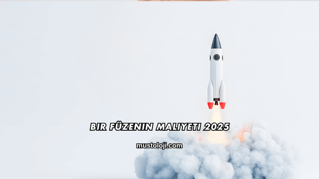 Bir Füzenin Maliyeti 2025