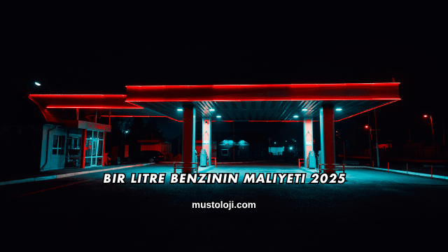 Bir Litre Benzinin Maliyeti 2025
