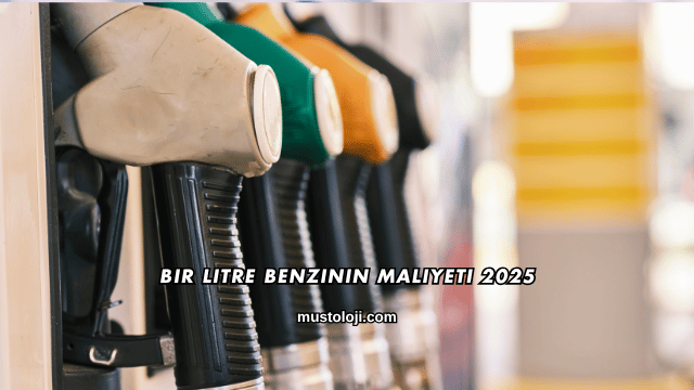 Bir Litre Benzinin Maliyeti 2025