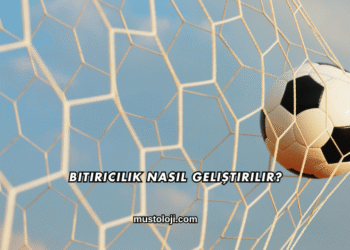 Bitiricilik Nasıl Geliştirilir?