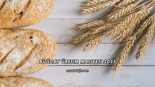 Buğday Üretim Maliyeti 2025