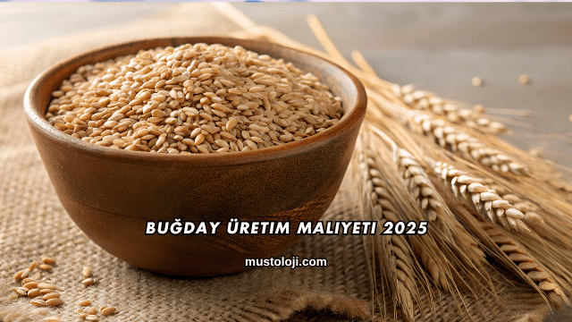 Buğday Üretim Maliyeti 2025