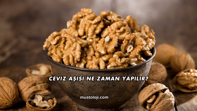 Ceviz Aşısı Ne Zaman Yapılır?