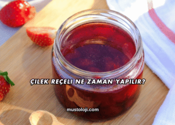 Çilek Reçeli Ne Zaman Yapılır?