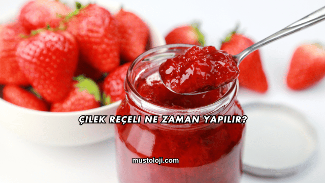 Çilek Reçeli Ne Zaman Yapılır?