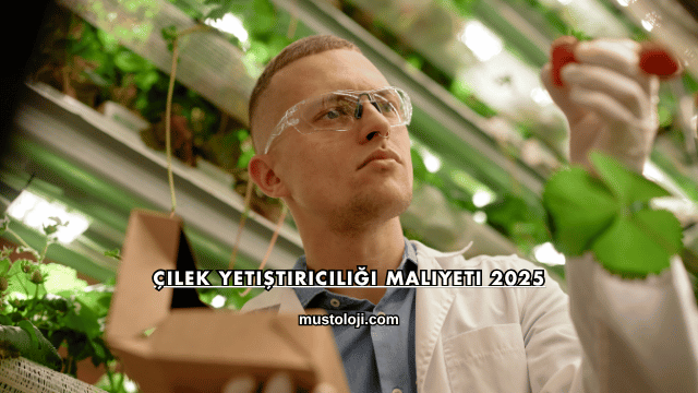 Çilek Yetiştiriciliği Maliyeti 2025