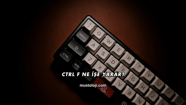 Ctrl F Ne İşe Yarar?