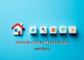 Faydalı Model Maliyeti 2025