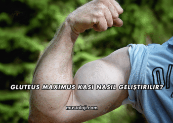 Gluteus Maximus Kası Nasıl Geliştirilir?