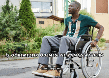 İş Göremezlik Ödemesi Ne Zaman Yapılır?