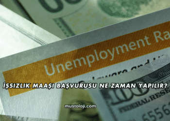 İşsizlik Maaşı Başvurusu Ne Zaman Yapılır?