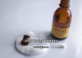 İyot Ne İşe Yarar?