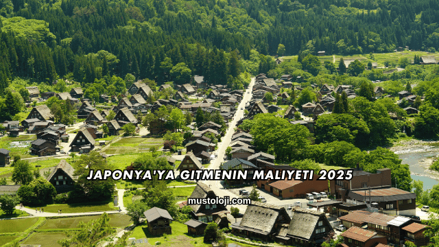 Japonya'ya Gitmenin Maliyeti 2025