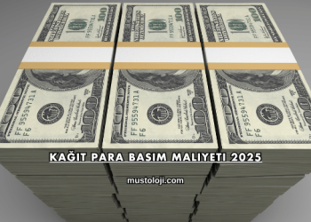 Kağıt Para Basım Maliyeti 2025