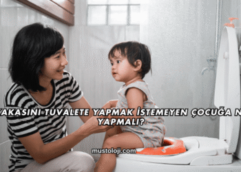 Kakasını Tuvalete Yapmak İstemeyen Çocuğa Ne Yapmalı?