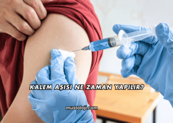 Kalem Aşısı Ne Zaman Yapılır?