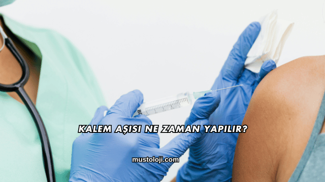 Kalem Aşısı Ne Zaman Yapılır?