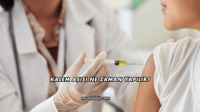 Kalem Aşısı Ne Zaman Yapılır?