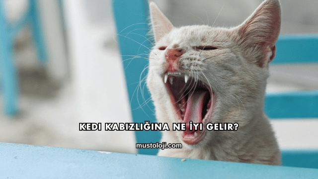 Kedi Kabızlığına Ne İyi Gelir?